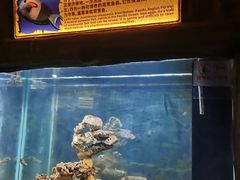 -长鹿旅游休博园