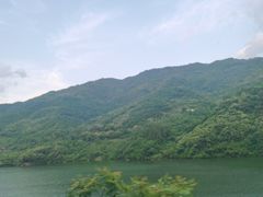 -后柳水乡