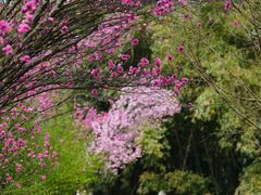 -贵阳市花溪国家城市湿地公园