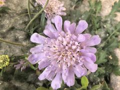 -河北村民俗体验园