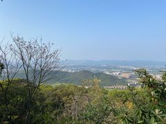 -风云岭森林公园