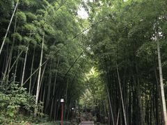 -穹窿山景区