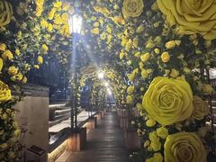 -Cohiba Atmosphere高希霸魅力俱乐部(国贸店)
