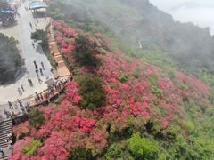 -木兰云雾山