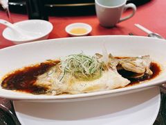 -十八棵（老龙井）御茶园(老龙井店)