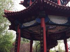 iphone_upload_pic-微山湖红荷湿地景区