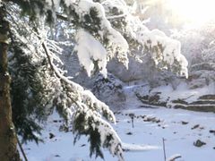 -大连市游泳馆-地面停车场