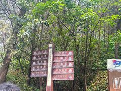 -云龙山