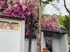 -深圳国际园林花卉博览园