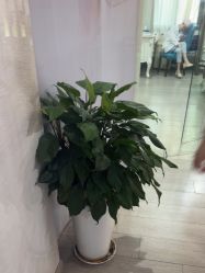 -安徽合肥韩美整形外科医院