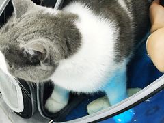 -爱洗澡的猫(天河路店)