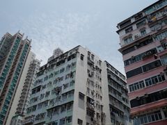 -添好运点心专门店(深水埗店)