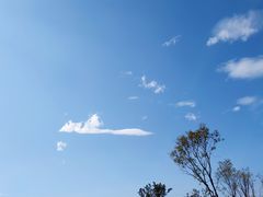 -白鹭湾湿地公园