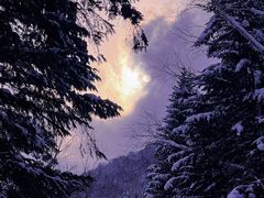 -雪谷