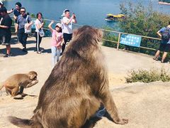 -广州市流溪河国家森林公园