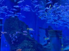-海合安武汉极地海洋公园