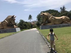 -富国岛翡翠湾 JW 万豪度假酒店