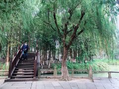 -乌镇东栅景区