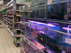 -欧尚(扬州商城江阳中路店)