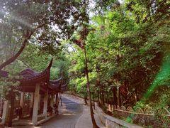 -灵岩山风景区
