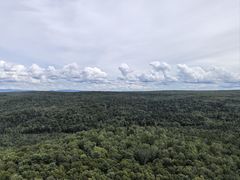 -汤旺河林海奇石景区