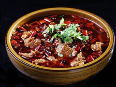-曾牛肉