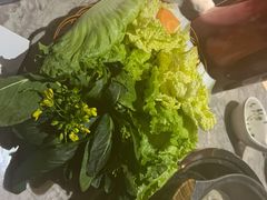 -采椰郎椰子鸡·脆皮鸡火锅(融创茂店)