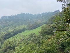 -敬亭山风景名胜区