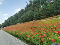 -长春世界雕塑园冰雪艺术天地