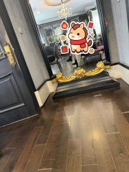 -鼎极摄影(蓝色港湾店)