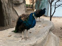 -兴芮温泉度假区