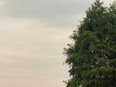 -苏州湾体育公园