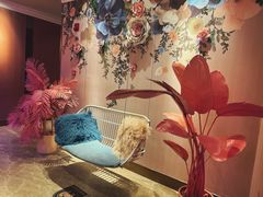 -纯K(打浦桥店)