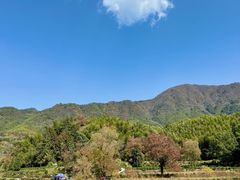-塔川景区