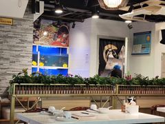 -潮人姐妹轩(海宁路店)