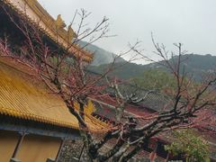 -普陀山风景名胜区-法雨禅寺