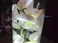 -北京康莱德酒店