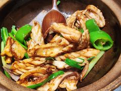 啫啫鲜鱿鱼-啫神·广州地标美食(北京路店)