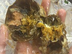 -古田会·肥肠鸡(古田店)