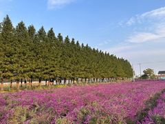 -嘉北郊野公园