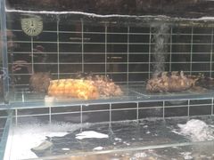 -浩运·海鲜青岛菜·海胆水饺(石老人店)