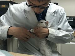 -安安宠医·安宠宠物医院