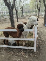 -优沃得自然教育农场·冰雪乐园·生日会·研学