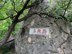 -阳台山自然风景区