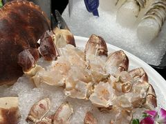 -海月轩海鲜豆捞(紫金塔店)