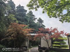-洛阳市隋唐城遗址植物园