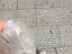 -大马弄蒋师傅美食酥鱼(察院前店)