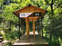 -青峰峡国家森林公园