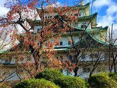 -名古屋城