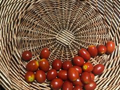 -美豪怡致酒店(上海长寿路店)